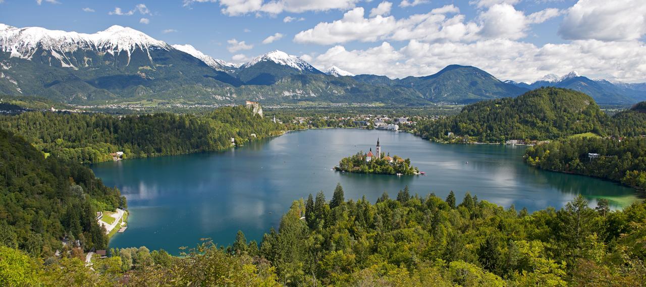 Vila Lipa Bled Dış mekan fotoğraf