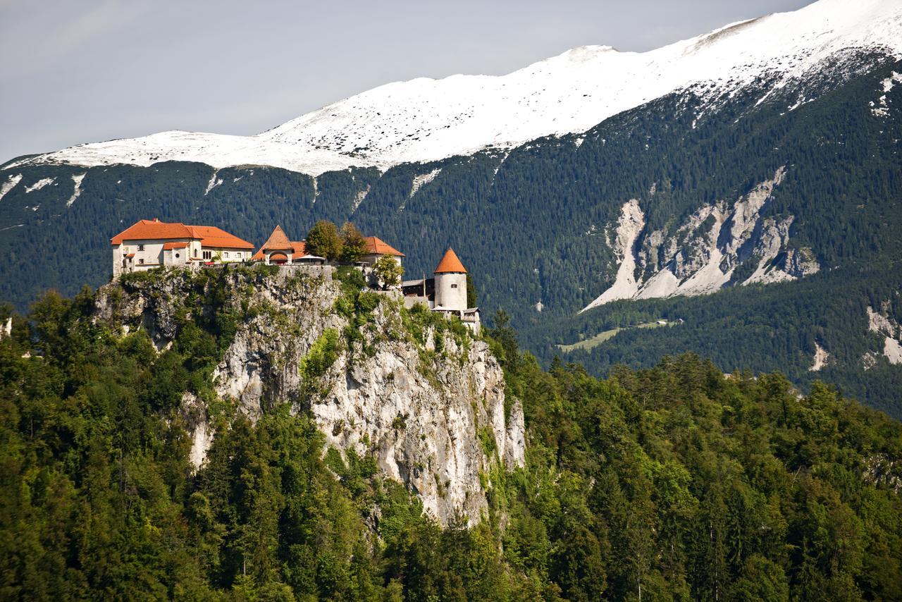 Vila Lipa Bled Dış mekan fotoğraf